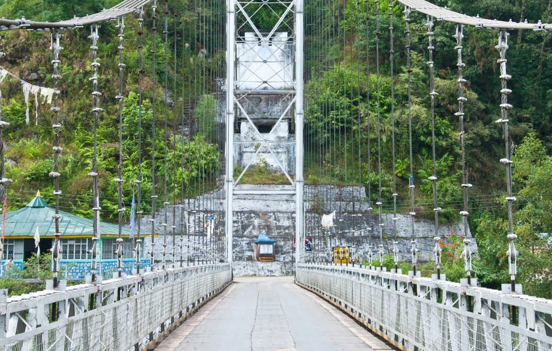 Image 113